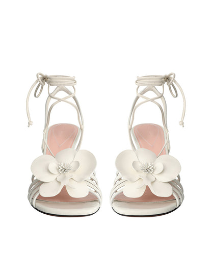 Orchid Wedge 85